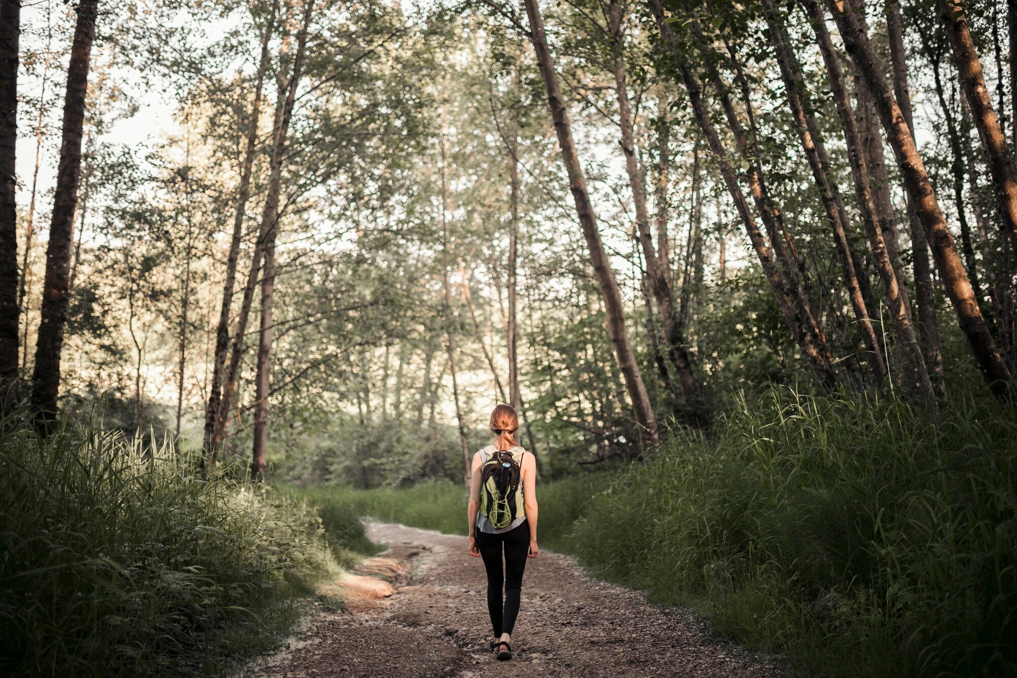 Naturaleza serena, caminos para caminar